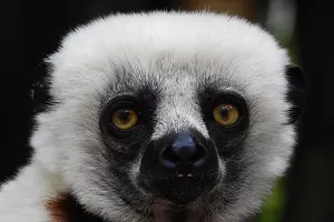 Des images des plus belles explorations touristiques à Madagascar