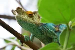 Des images des plus belles explorations touristiques à Madagascar