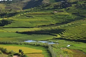 Des images des plus belles explorations touristiques à Madagascar