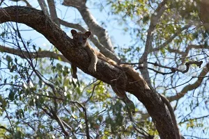 Des images des plus belles explorations touristiques à Madagascar